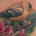 Tattoos - Golden Finch - 78018